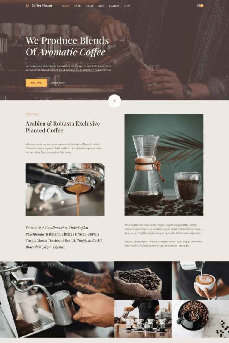 Coffee Roaster